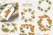 Cloudberry. Watercolor collection, a Food Illustration by SashaKondr (Thumbnail 7 of 13)