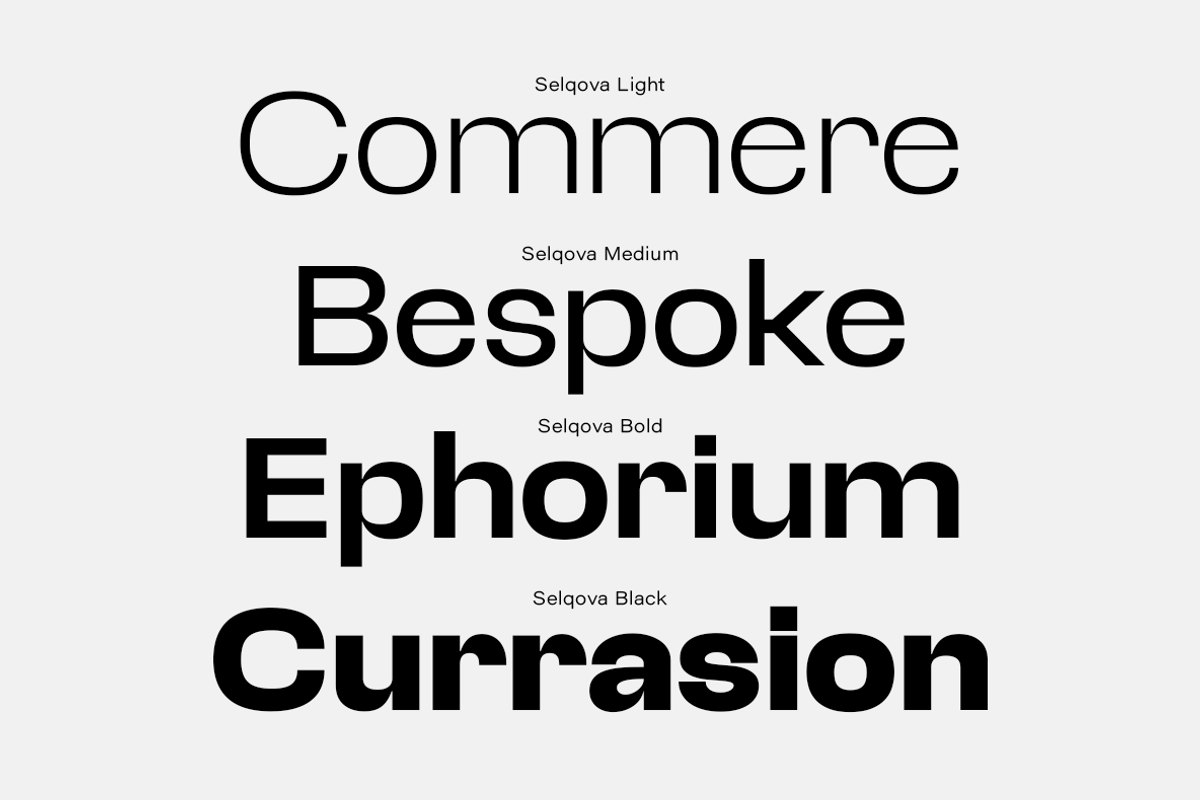 Selqova | Sans serif family, a Sans Serif Font by InkwellTypeCo (Photo 7 of 18)