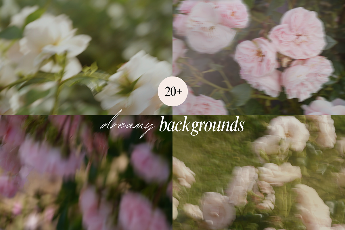 Delicate Blurry Floral Backgrounds, a Background Graphic by eclosque (Photo 10 of 31)