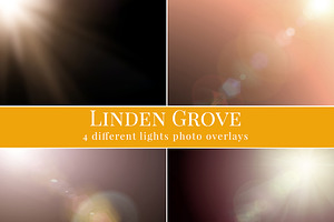 Linden Grove-falling Leaves Overlay