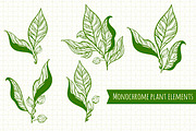 Herbal collection (+bonus), an Object Graphic by Fresh-shop (Thumbnail 3 of 7)