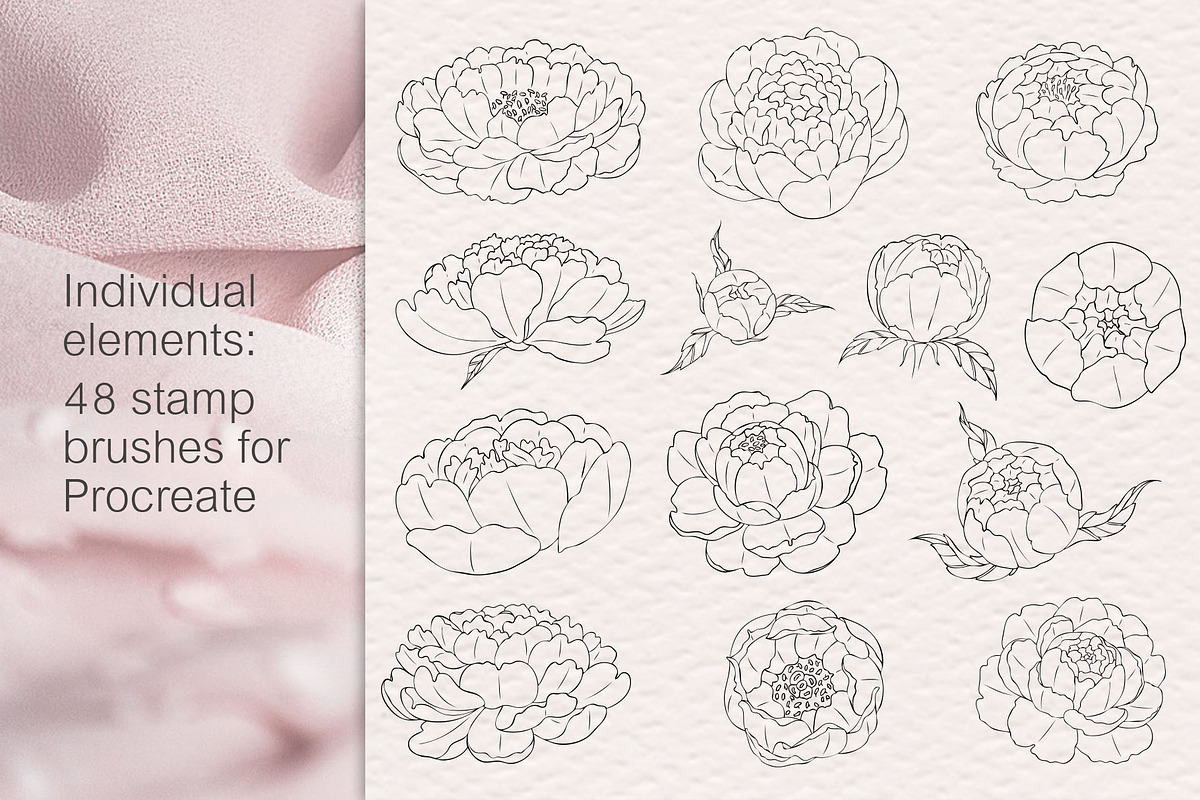 Peony procreate stamps, cliparts, a Brush Add-On by Veronika Gotovceva (Photo 2 of 8)