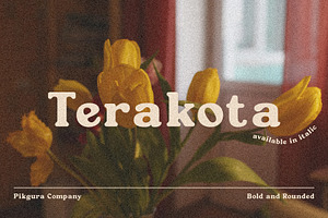 Terakota Serif Font