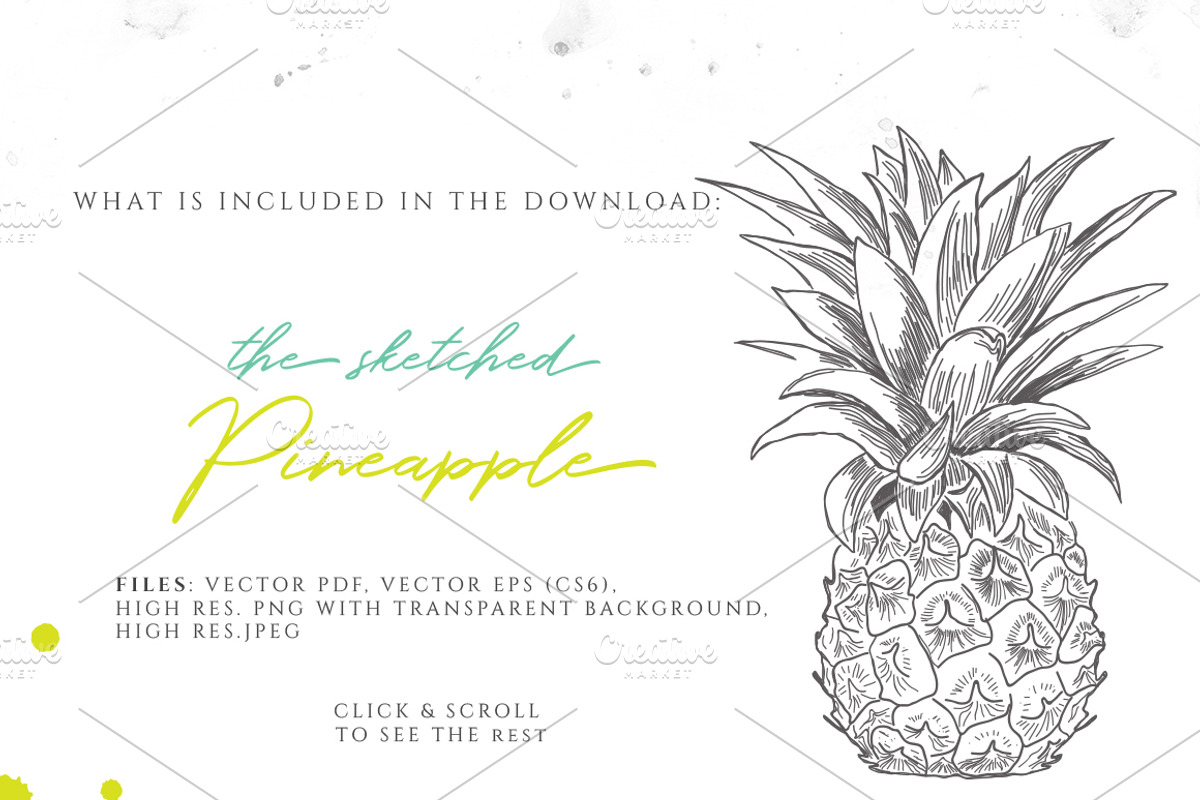 PINEAPPLE hand-sketched plus colors, an Illustration by Friendly Label (Photo 2 of 2)