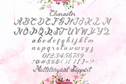 Andy Tusvah - Bold Script Font, a Script Font by StringLabs (Thumbnail 13 of 14)