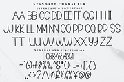 Weekend Surprise, a Serif Font by FreshTypeINK (Thumbnail 5 of 8)