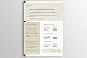 Exclusive modern Resume (CV) - gray, a Resume Template by DutchDigitalDesign (Thumbnail 3 of 5)