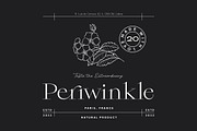 Qiona Elegant Modern Serif Font, a Serif Font by timelesstype.co (Thumbnail 9 of 20)