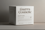 Ragena - Bold Serif Font, a Serif Font by Pixesia Studio (Thumbnail 7 of 10)