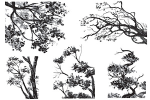 TREES - Drawn Watercolor