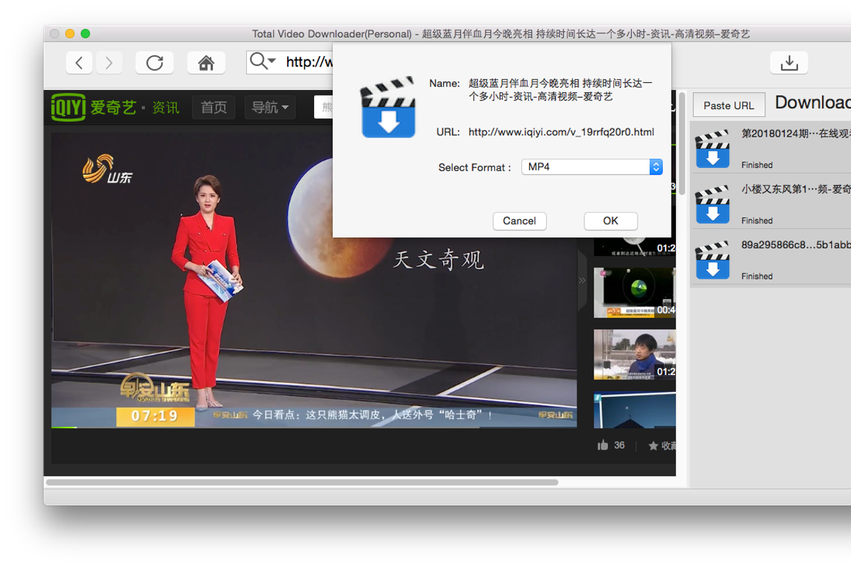 Total Video Downloader for Mac, an Action Add-On by EffectMatrix (Photo 5 of 14)