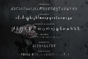 Acallypha - Handwritten Script Font