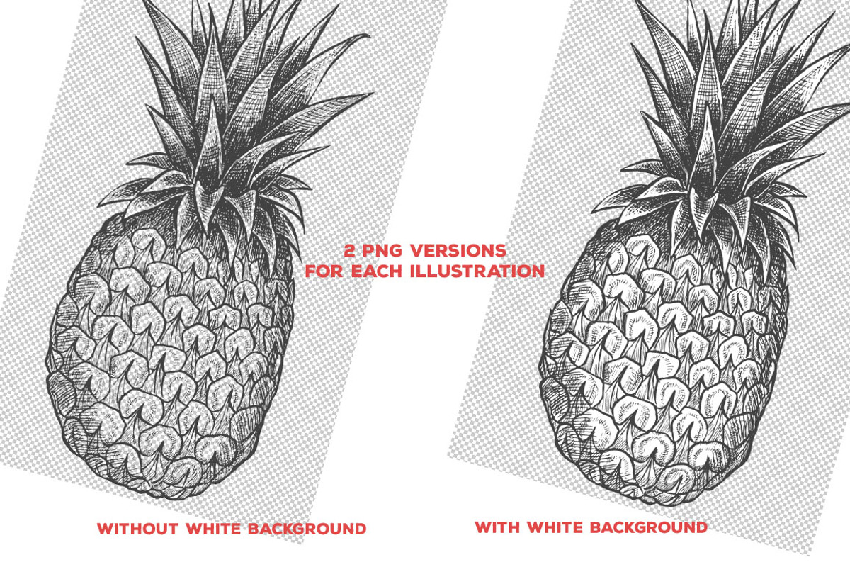 Fruits Illustrations, an Illustration by PicByKate (Photo 4 of 6)