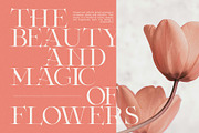 Foste - Elegant Serif Font, a Serif Font by Graphicxell (Thumbnail 5 of 8)