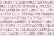 Benchwarmer - Sports Font Family, a Serif Font by Beck McCormick (Thumbnail 5 of 10)