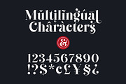 Cheva Display Serif Font, a Sans Serif Font by Letteralle Studios (Thumbnail 9 of 9)
