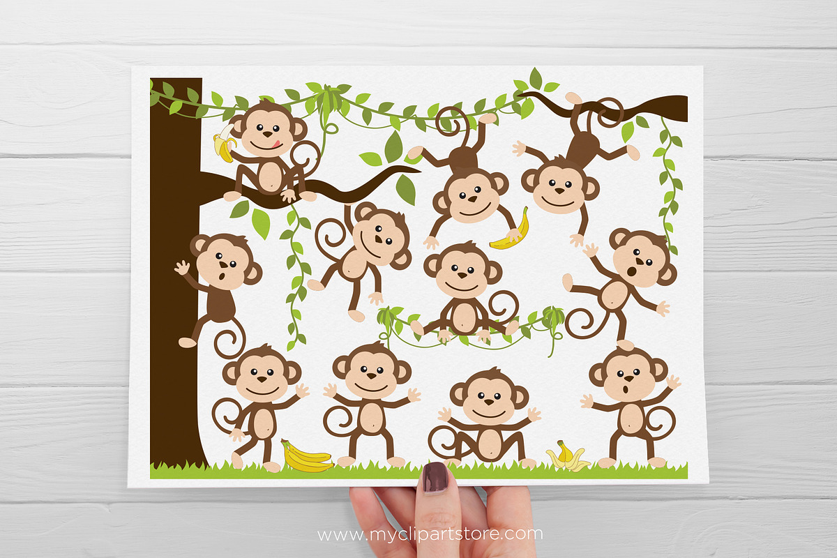 Monkey Clipart, Jungle, SVG, an Animal Illustration by MyClipArtStore (Photo 2 of 4)