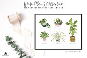 House Plants Collection, a Graphic by SmallHouseBigPony (Thumbnail 4 of 18)