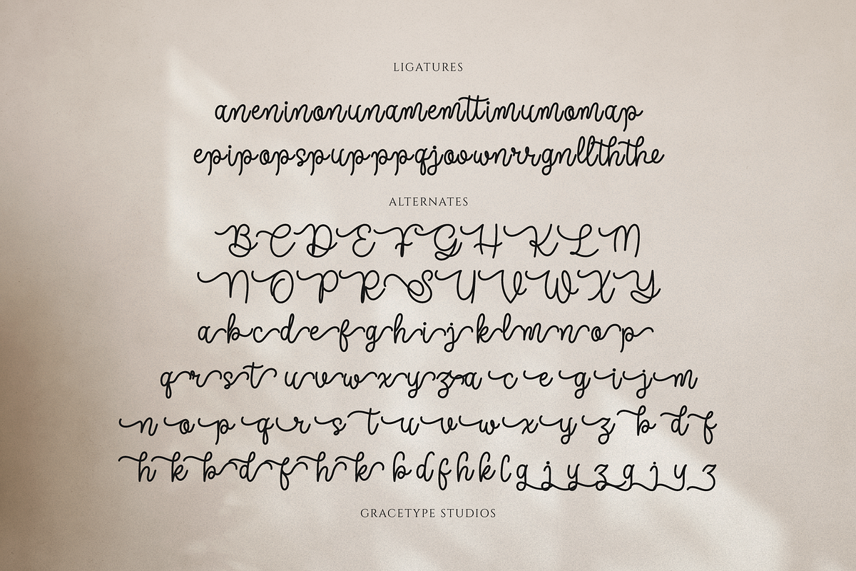 Joaguin Dignity | Monoline Script, a Script Font by gracetype_studio (Photo 12 of 12)