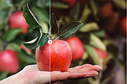 Blogger Bundle 135 Lightroom Presets, an Action Add-On by PhotoMarket (Thumbnail 45 of 94)