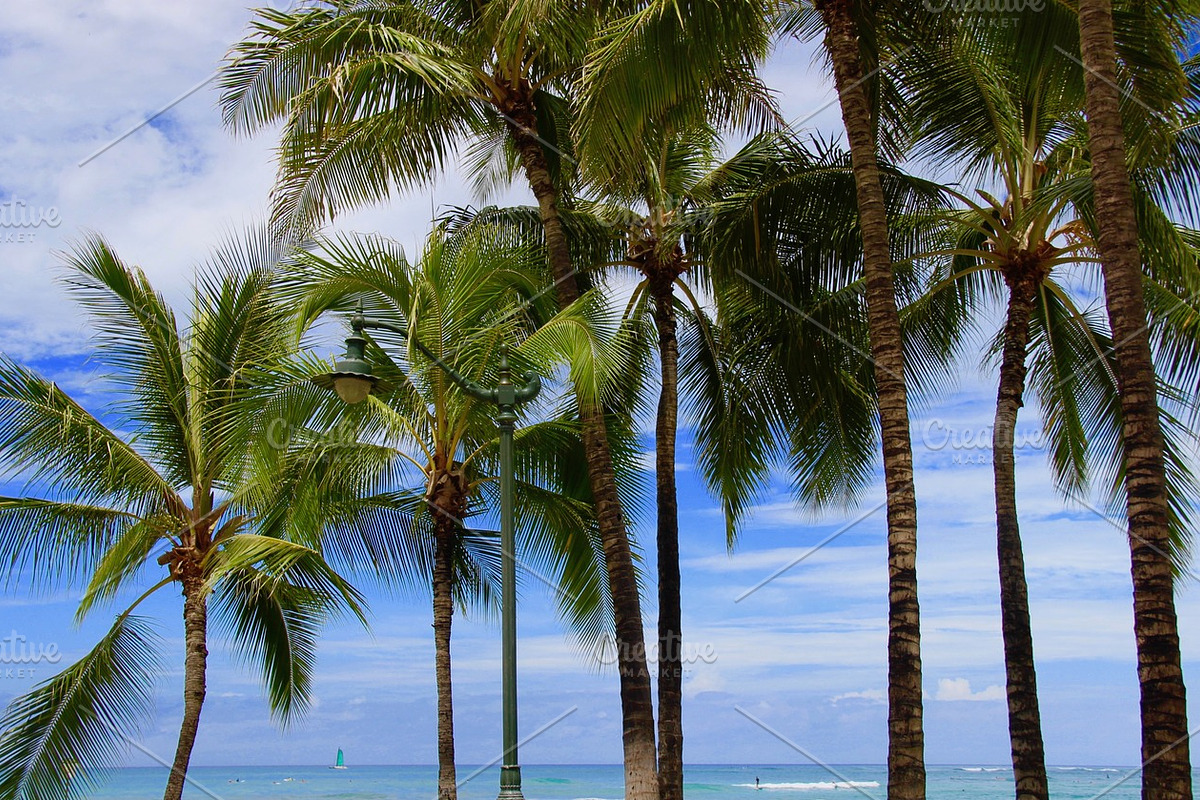 Palm Trees with Beach Surfers, a Holiday Photo by Samaky Photography (Photo 2 of 2)