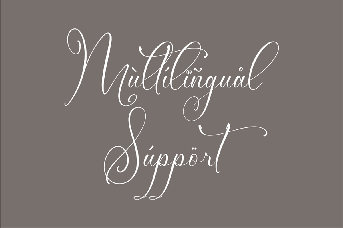 Mendikari Chic Calligraphy Font, a Script Font by Storytype Studio (Photo 12 of 14)