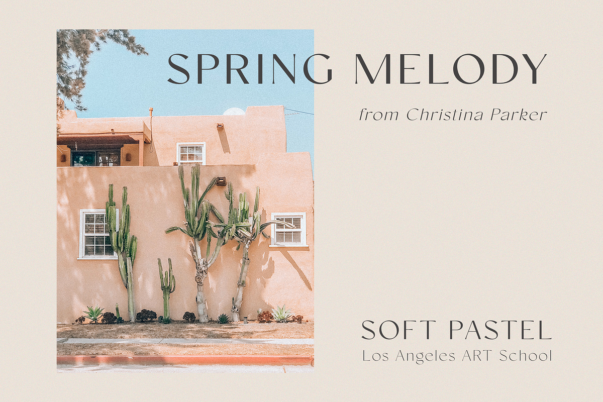 Conso | Font Family, a Sans Serif Font by Larin Type Co. (Photo 10 of 15)