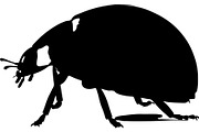20 Ladybug Silhouette Mega, an Object Graphic by Designer_Momina (Thumbnail 17 of 20)
