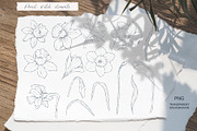 Watercolor and sketch daffodils, a Decorative Illustration by TatiArti (Thumbnail 10 of 13)