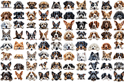 240 Breed Of Peeking Dog Clipart, an Animal Illustration by Coralcreations (Thumbnail 2 of 3)