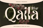 Qaila Blur, a Serif Font by Craft Supply Co. (Thumbnail 1 of 8)