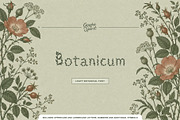Botanicum Leafy Display Font, a Sans Serif Font by Graphic Spirit (Thumbnail 1 of 8)