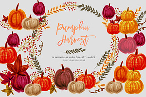 Pumpkin Harvest Clipart