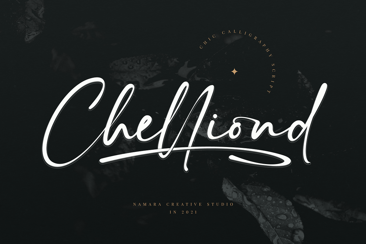 Constaller Chic Calligraphy Script, a Script Font by Namara Creative Studio (Photo 6 of 12)