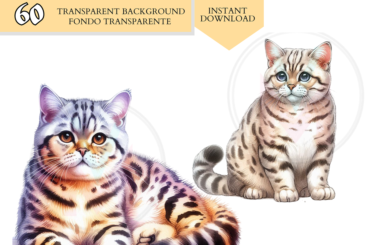 Cat Breeds PNG Bundle Cats Clipart, an Animal Illustration by VM PARTYS  BY TAIRUMA (Photo 10 of 10)