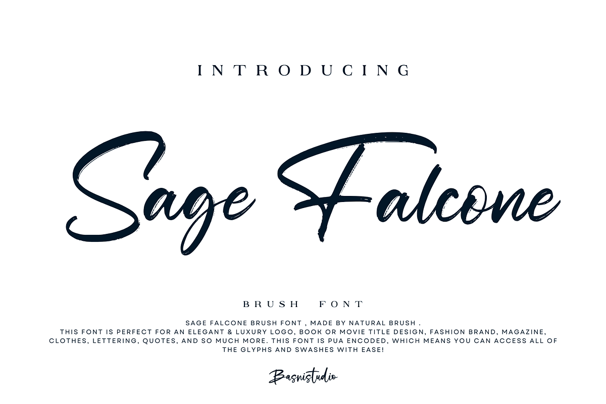 Sage Falcone Brush Font, a Script Font by Basnistudio (Photo 1 of 6)