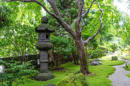 Traditional toro lantern in Hokoku-ji shrine garden, Kamakura, J