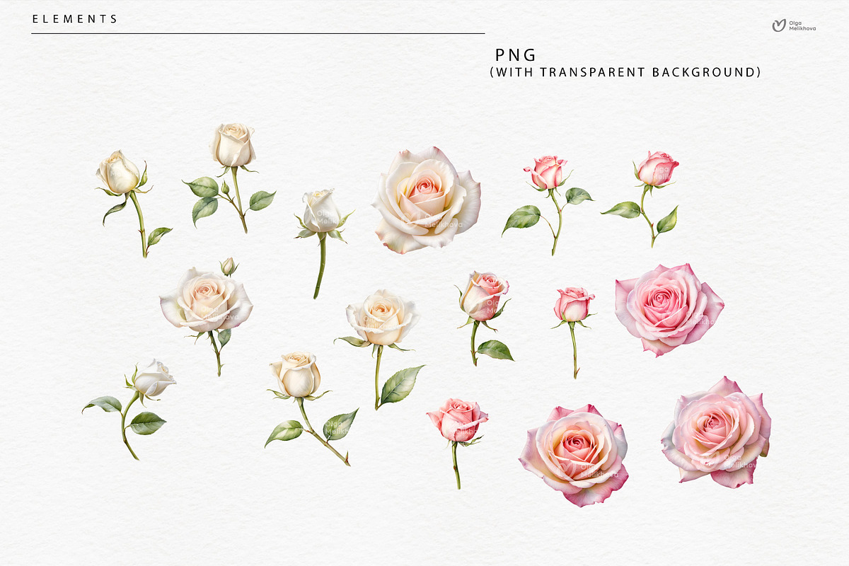 Roses - watercolor flowers, an Object Illustration by ollalya (Photo 8 of 8)