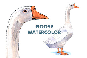 Farm Goose watercolor illustration