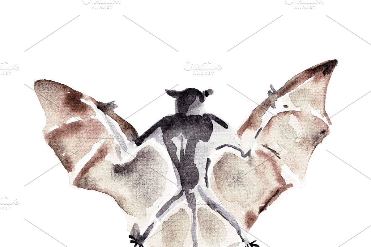 Vampire bats, watercolor/ink/vector, an Animal Illustration by Watercolor_Vector Graphic (Photo 5 of 22)