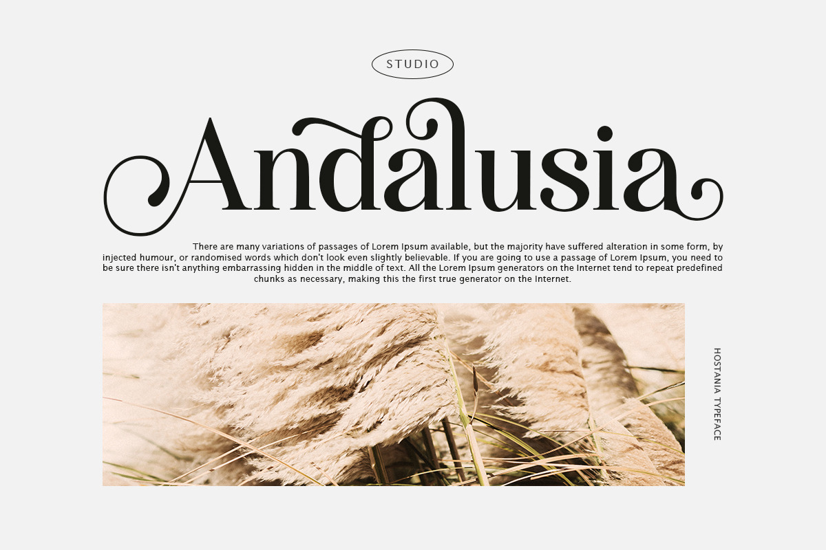 Hostania, a Serif Font by Attract Studio (Photo 2 of 12)