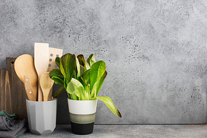 Zero waste house kitchen gray shelf containing background, basil, and brown
