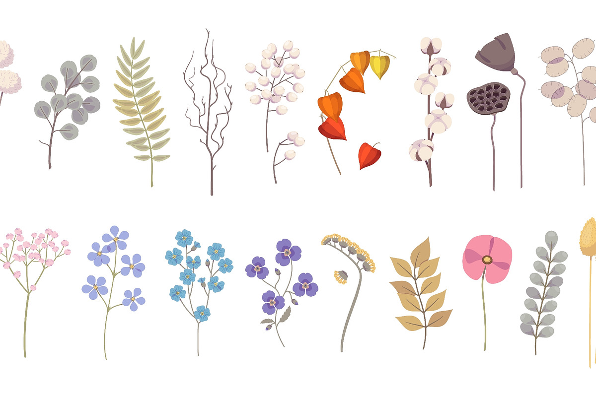 Decorative dried flowers. Cartoon, a Texture Illustration by YummyBuum (Photo 2 of 3)