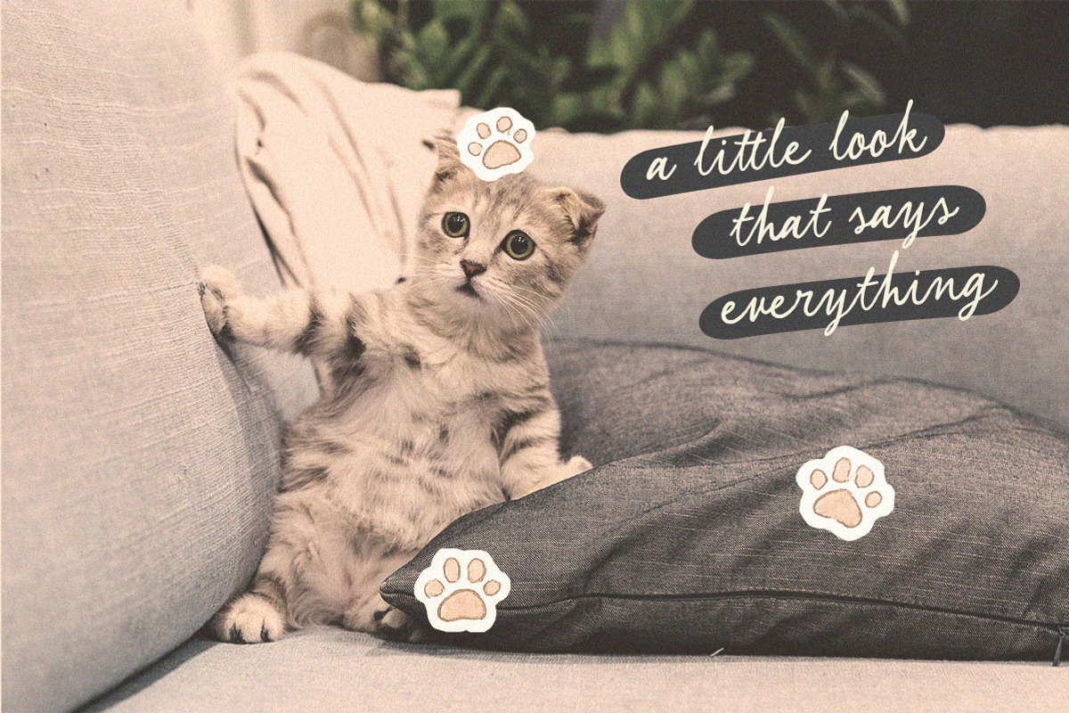 Secret Motion Handwritten Font Duo, a Handwritten Font by Littlehand (Photo 10 of 11)
