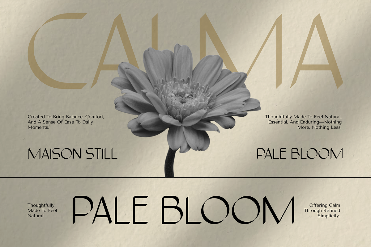 Karolyne, a Sans Serif Font by CuratedType Studio (Photo 5 of 10)