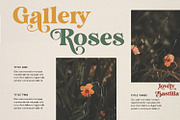 Lovely Bastilla | Retro Serif Font, a Serif Font by MchCrafter (Thumbnail 2 of 18)