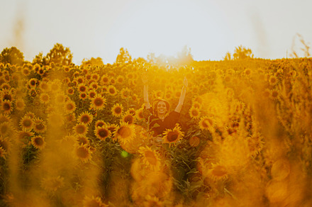 woman in a field of sunflowers