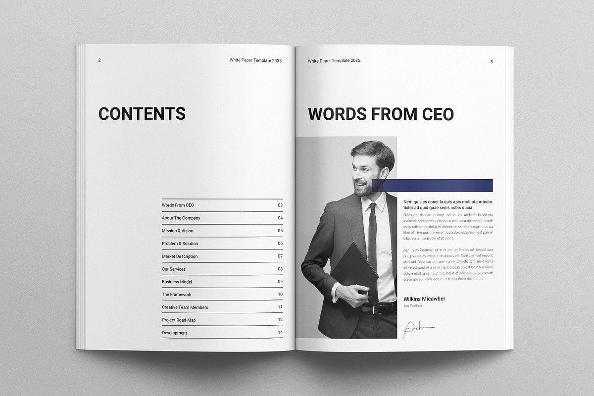White Paper Template, a Brochure Template by E-Type (Photo 2 of 7)