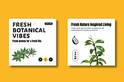 Fresh Botanical Social Media Post, a Social Media Template by MightyDesign (Thumbnail 3 of 8)
