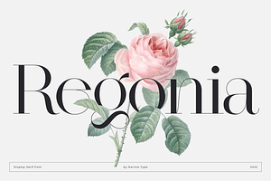 Regonia Display Serif Typeface